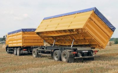 Услуги зерновозов для перевозки зерна - Липецк, цены, предложения специалистов
