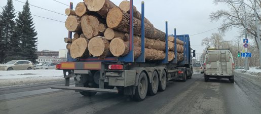 Поиск транспорта для перевозки леса, бревен и кругляка стоимость услуг и где заказать - Липецк